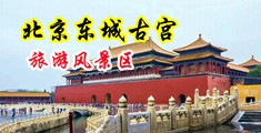 骚货黑丝中国北京-东城古宫旅游风景区